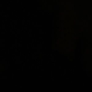 Meet your Posher, Angelina